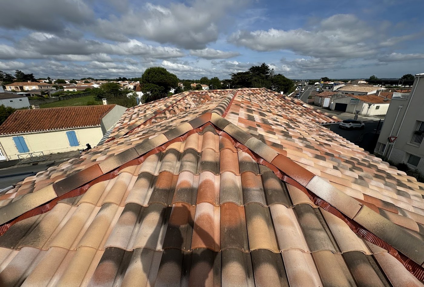 Fuite, rangées de tuiles ou toiture abîmée